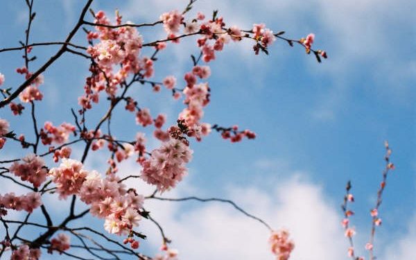 “Tənhalıq eynidir hər yerdə” – Cəlil CAVANŞİRDƏN haykular