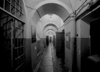 Günter Vaysenbornun hekayəsi – “İfadə”