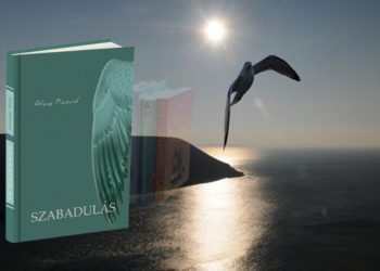 Afaq Məsudun romanı macar dilində nəşr edildi