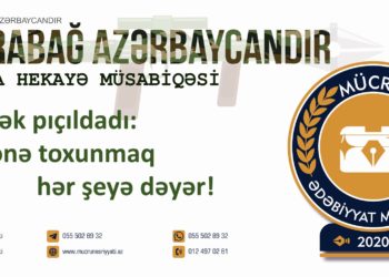 Aydan Hüseynli – ANA SEVİNCİ (qısa hekayə)