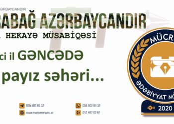 Zərəngiz Dəmirçi Qayalı – EVLƏRİ TİKƏCƏYİK… (qısa hekayə)