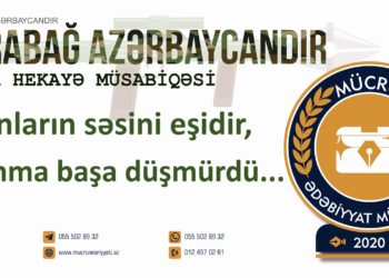 Əli Eynəliyev – NİLAY (qısa hekayə)