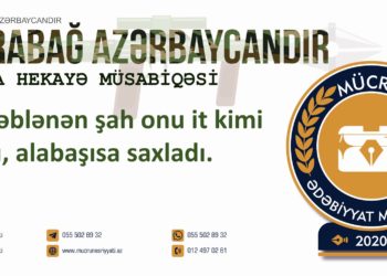 Mətanət Hüseynova – TƏLXƏYİN AQİBƏTİ (qısa hekayə)