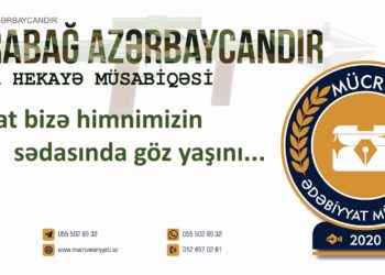 Sevinc Əfəndi – FƏRƏH HİSSİ (qısa hekayə)