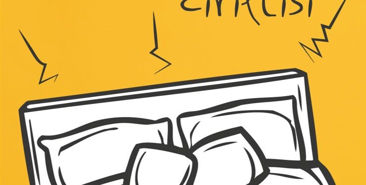 Sevinc Elsevərin ilk hekayələr kitabı – “Çarpayı cırıltısı”